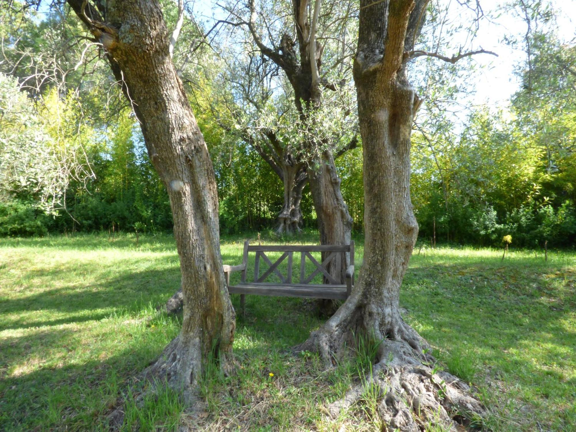 Apartment Cezanne With Heated Pool And Private Garden Chateauneuf-Grasse ภายนอก รูปภาพ