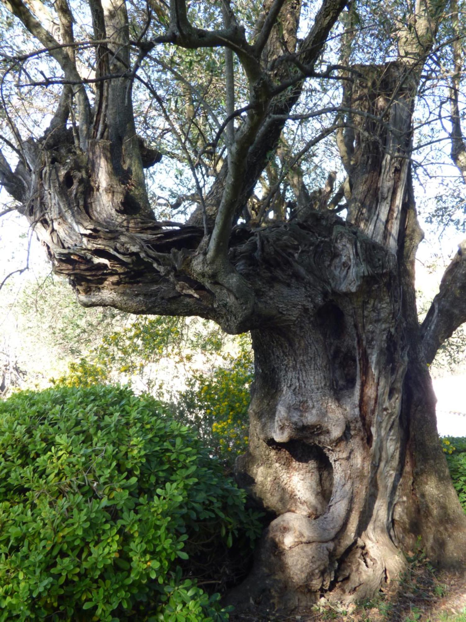 Apartment Cezanne With Heated Pool And Private Garden Chateauneuf-Grasse ภายนอก รูปภาพ