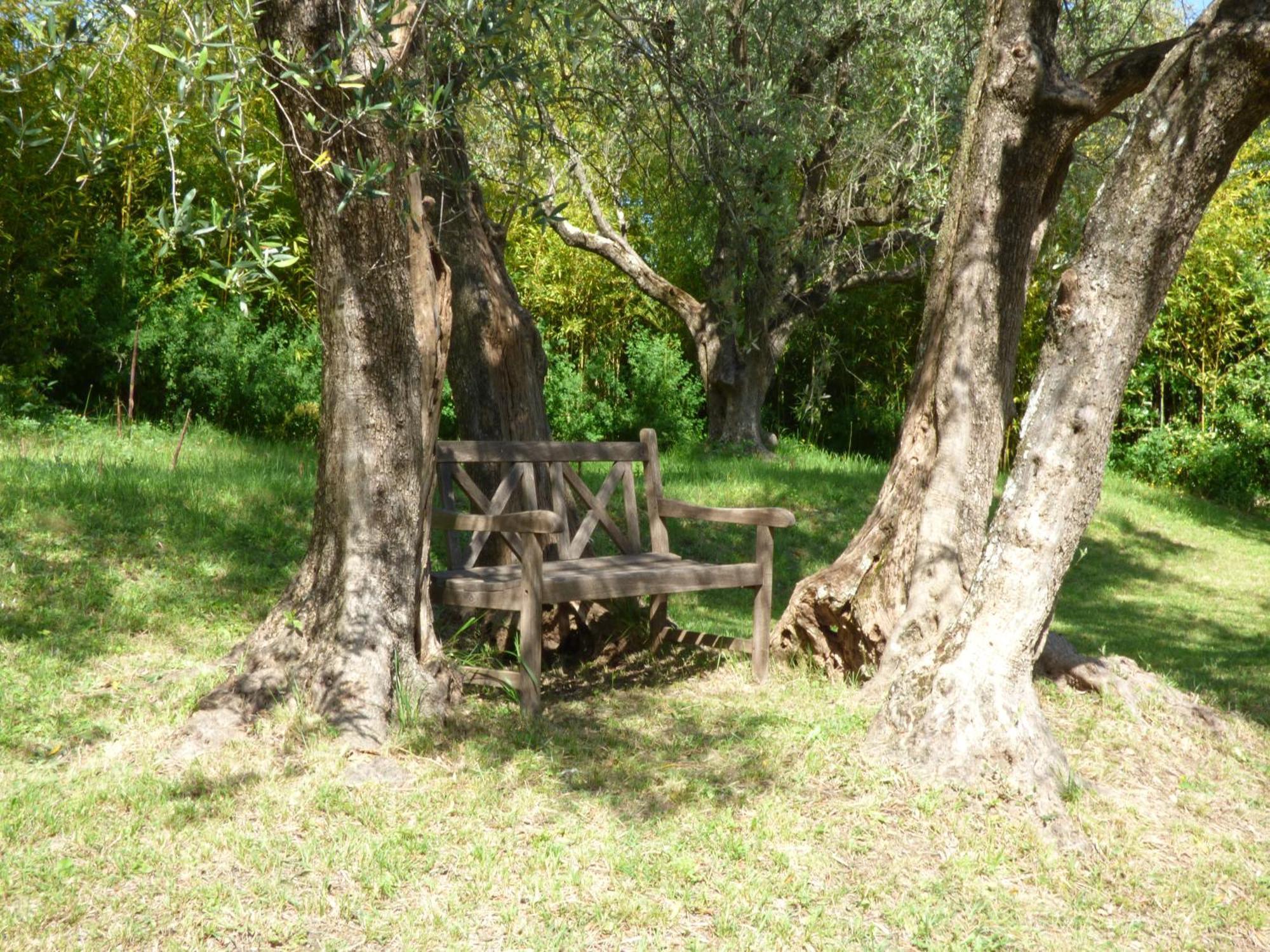 Apartment Cezanne With Heated Pool And Private Garden Chateauneuf-Grasse ภายนอก รูปภาพ