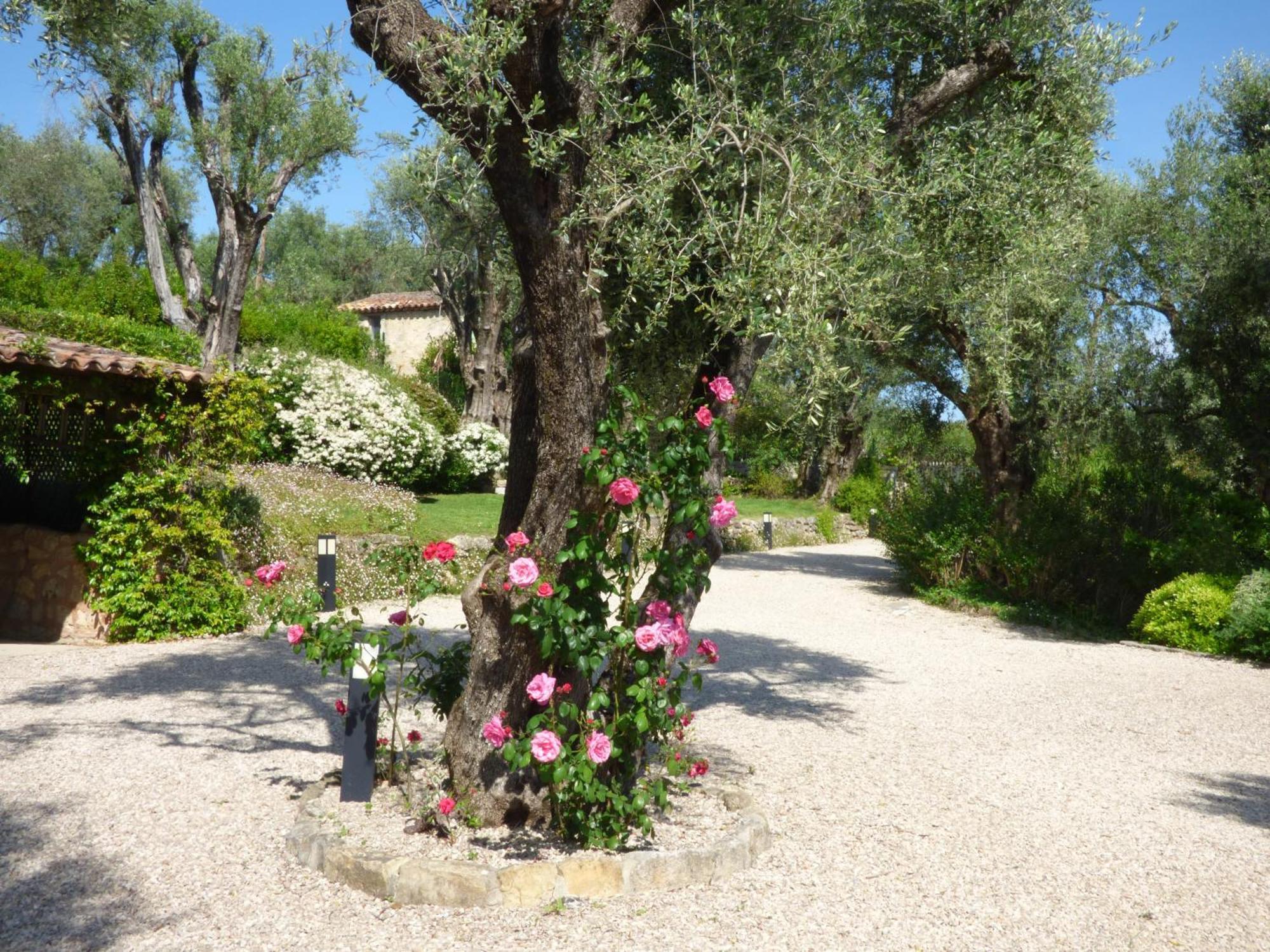 Apartment Cezanne With Heated Pool And Private Garden Chateauneuf-Grasse ภายนอก รูปภาพ