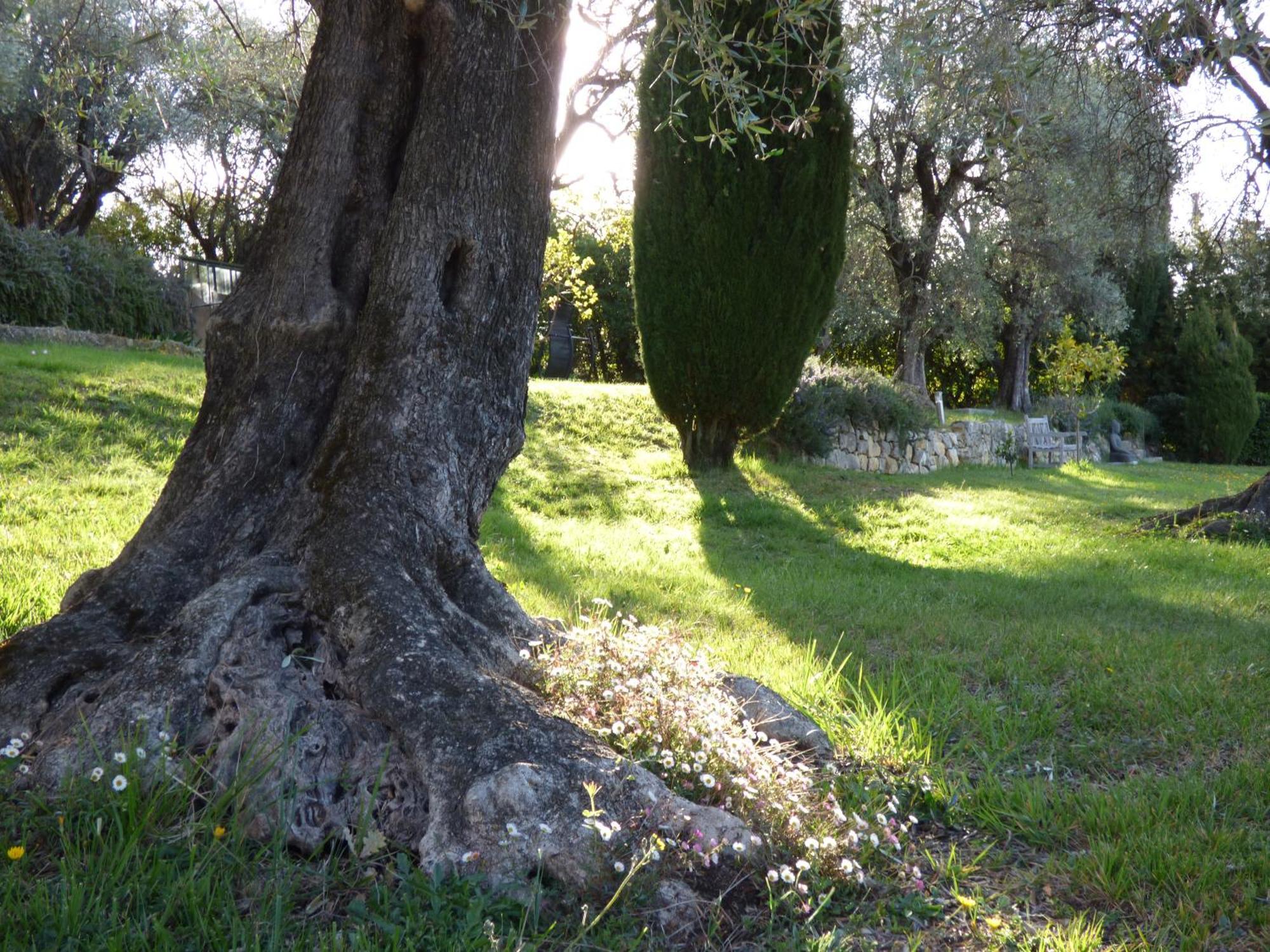 Apartment Cezanne With Heated Pool And Private Garden Chateauneuf-Grasse ภายนอก รูปภาพ